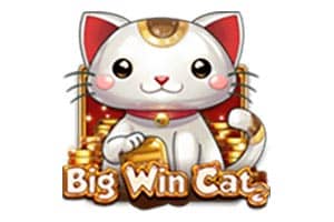 สล็อตPNG - Big Win Cat
