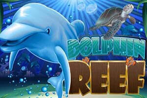 สล็อตPT - Dolphin Reef